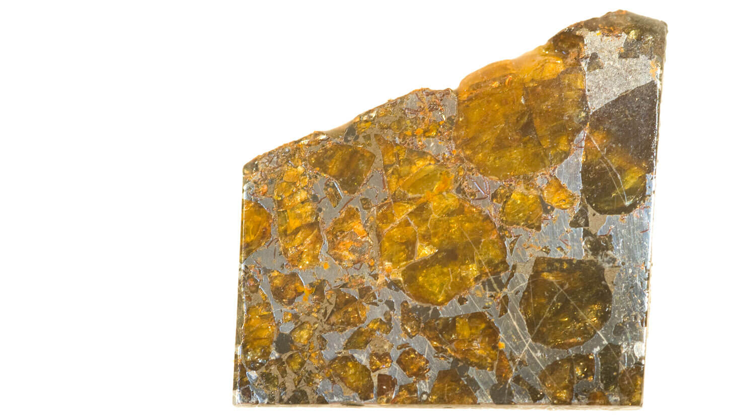 Scheibe eines Pallasit aus Belarus 1810