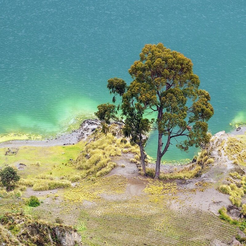 Smaragd-farbenes Ecuador