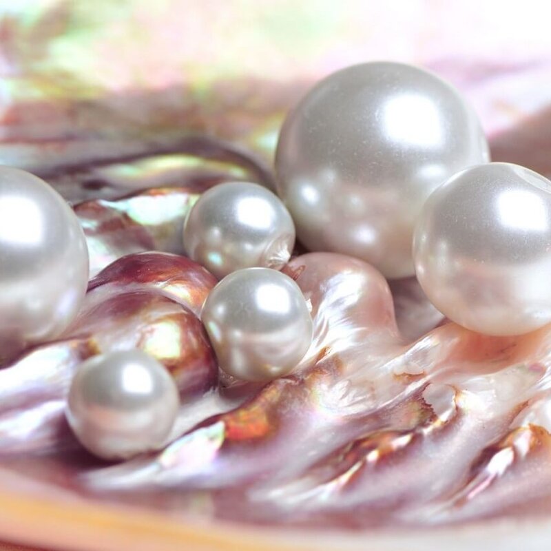 Naturperlen in Austernschale