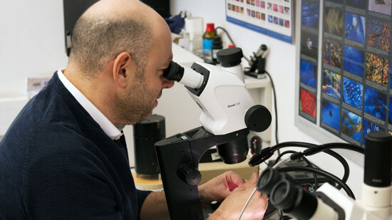 Dorian Eckmann, Leiter des Jwelenlabors am Mikroskop