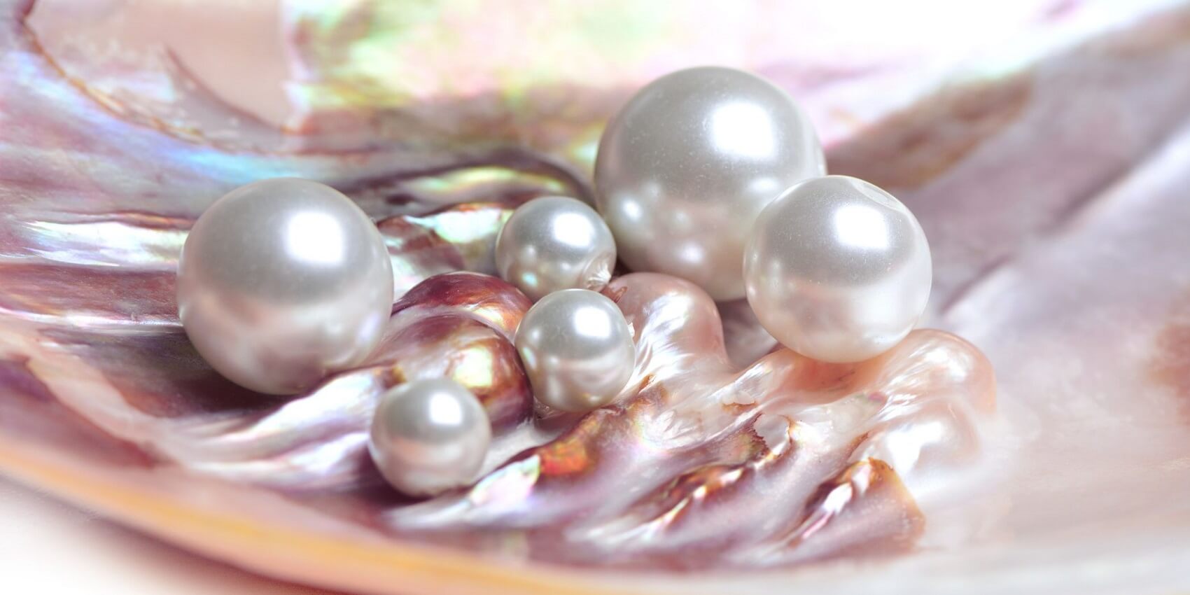 Naturperlen in Austernschale